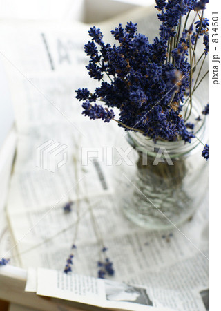 ドライフラワー 834601