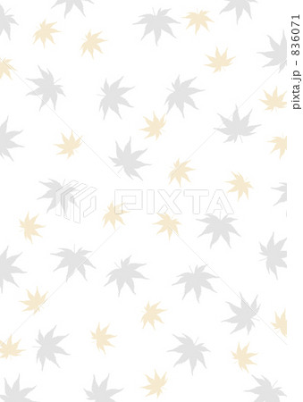 もみじの背景 もみじの背景 836071