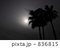 南国の冬空 836815