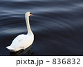 静寂 836832