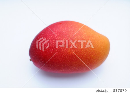 アップルマンゴー 837879