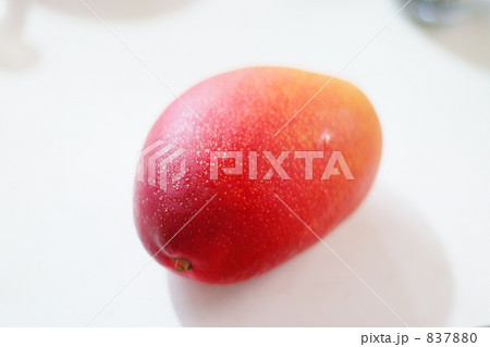 アップルマンゴー アップルマンゴー 837880