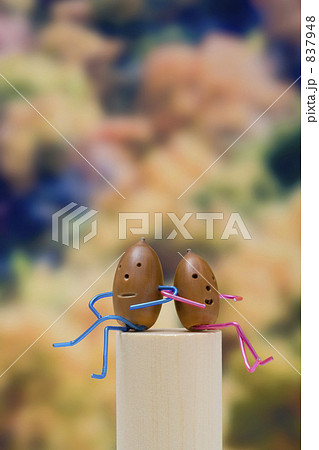 ドングリのカップル 837948