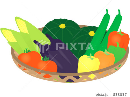 夏野菜 838057