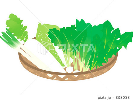 冬野菜 838058