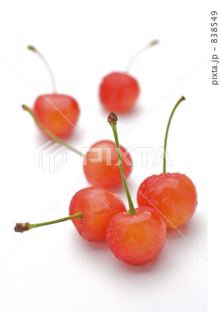 サクランボ(佐藤錦) サクランボ(佐藤錦) 838549