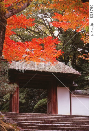 安楽寺の紅葉 838790