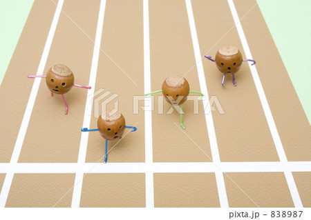 ドングリの運動会 838987