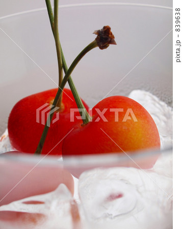 冷たいサクランボ 839638