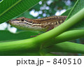 840510
