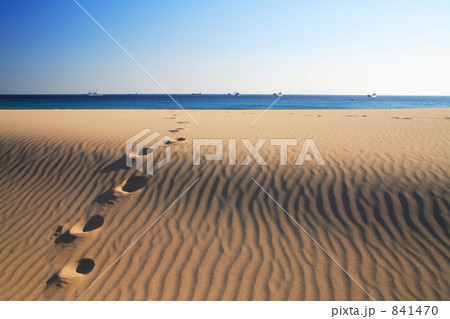 砂丘の足跡 砂丘の足跡 841470