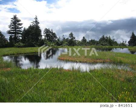 燧ケ岳から見た広沢田代 841651