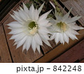 842248