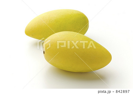 ペリカンマンゴー 842897