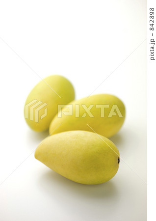 ペリカンマンゴー ペリカンマンゴー 842898