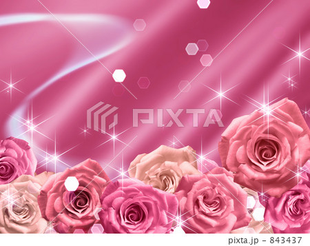 薔薇と光の背景 843437