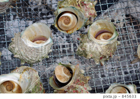 サザエのつぼ焼き 845633