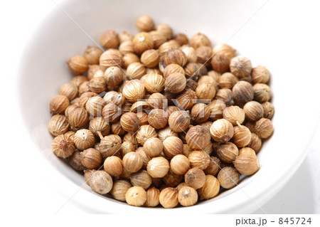 コリアンダー 845724