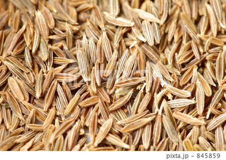 クミン 845859