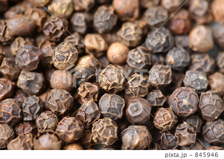 ブラックペッパー 845946