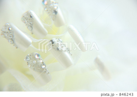 ネイルチップ（ホワイト） 846243