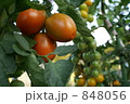 848056