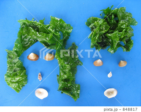 二人仲良く 848817