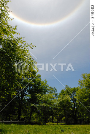 日光の虹と林 849682