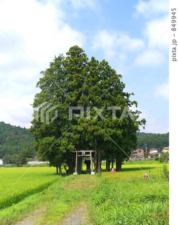 八坂神社　棚倉町　弐 849945