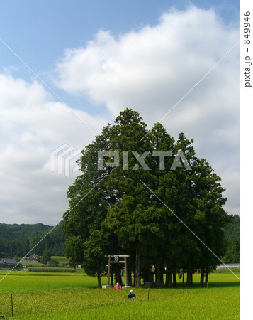 八坂神社　棚倉町 849946