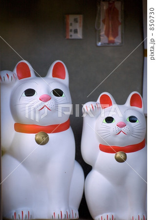 招き猫 招き猫 850730