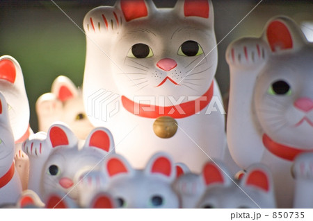 招き猫 850735