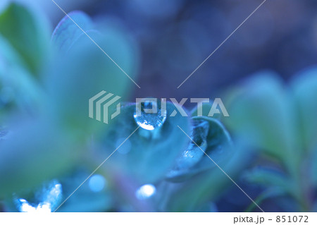 蒼い滴 851072
