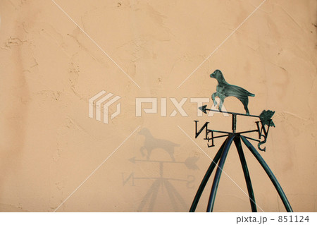 風見犬 風見犬 851124