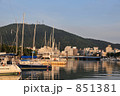 徳島市　早朝のヨットハーバーと眉山 851381