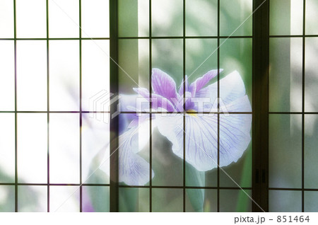 和室イメージ 851464