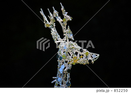 光る前でも... 852250