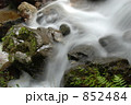 養老の滝 852484