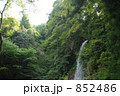 養老の滝 852486
