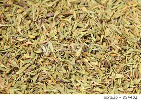 タイム タイム 854402