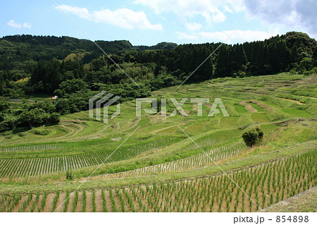大山千枚田 3 854898