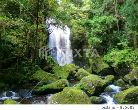 和歌山県の桑ノ木の滝 855085