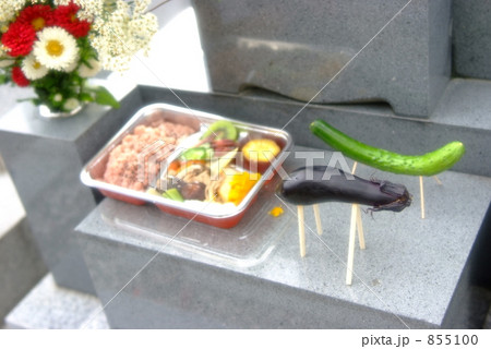 なすのうし  きゅうりのうま  855100