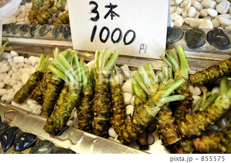 採れたてわさび 855575