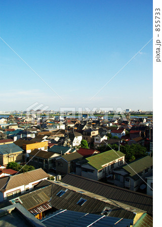 なんか好き 855733