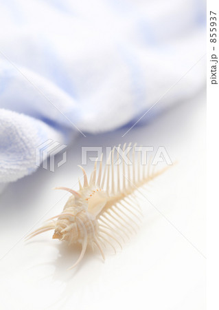 タオルとホネガイ 855937