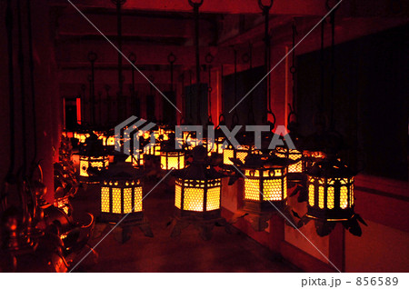 春日大社 万灯籠 回廊横位置 の写真素材 8565