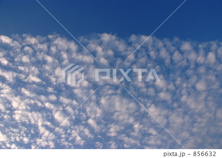 秋の空　うろこ雲 856632