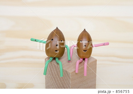 ドングリ人形 856755