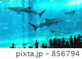 世界最大級の水族館 856794